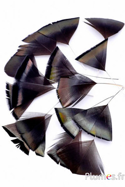 Pétales en plumes - 6-8 x 3-4 cm - naturel